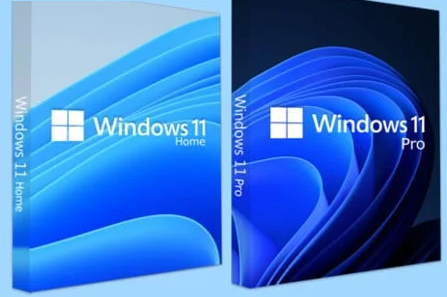 WINDOWS FIX: FORCE upgrade from Windows 10/11 Home to Windows 10/11 Pro